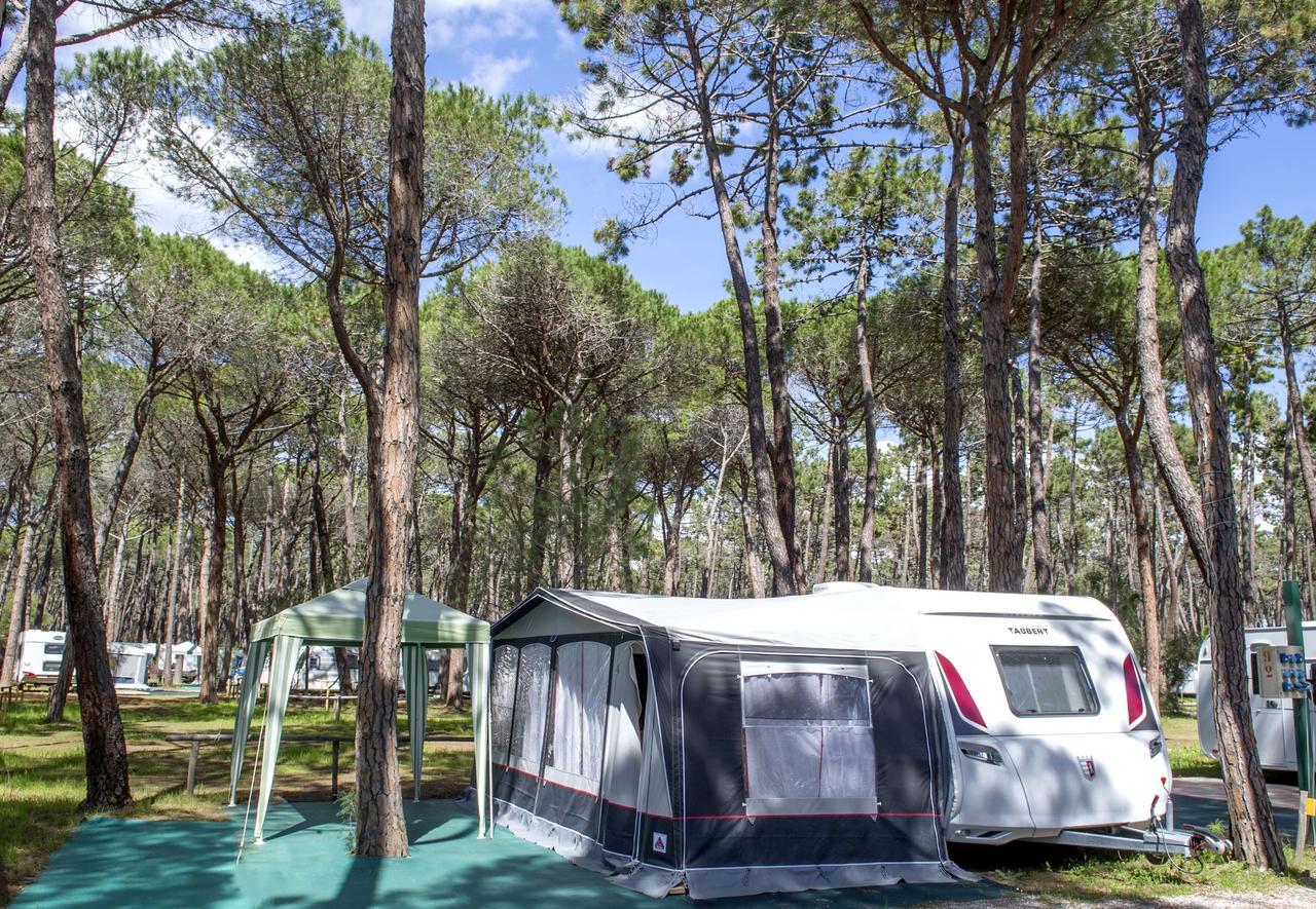 Campeggio Baia Verde Castiglione della Pescaia Exteriör bild