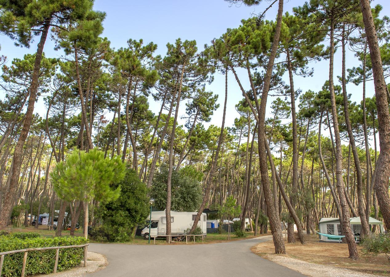 Campeggio Baia Verde Castiglione della Pescaia Exteriör bild
