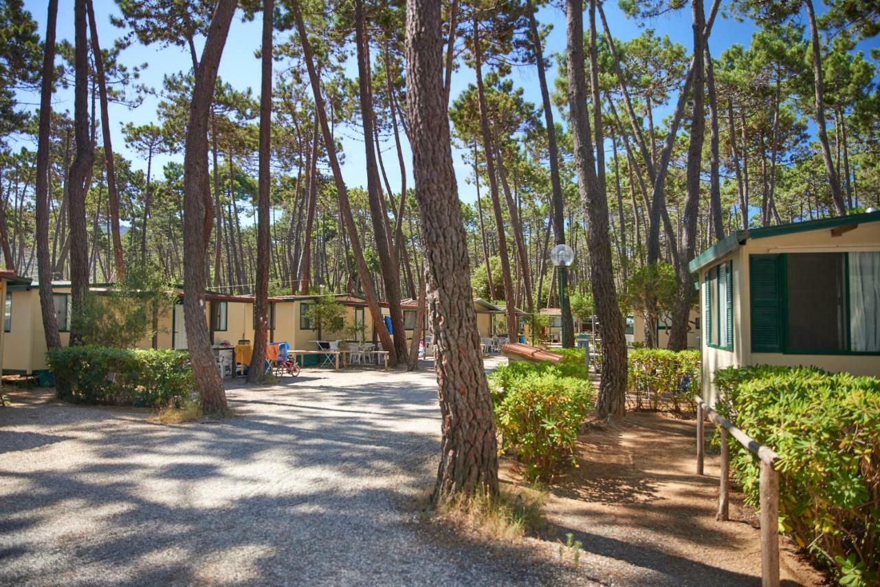 Campeggio Baia Verde Castiglione della Pescaia Exteriör bild