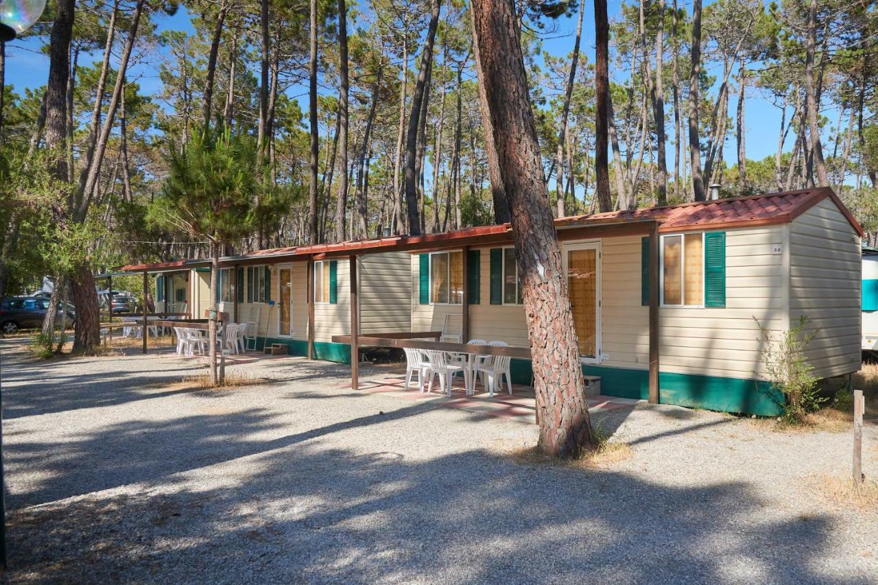 Campeggio Baia Verde Castiglione della Pescaia Exteriör bild